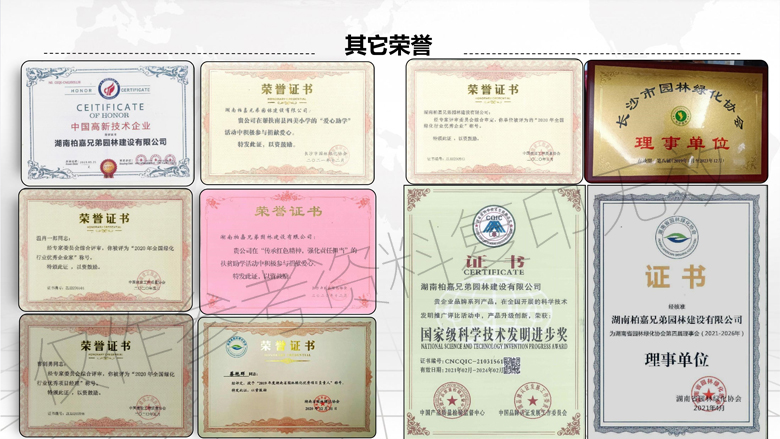 湖南柏嘉兄弟園林建設有限公司-企業(yè)宣傳 - 副本_20.jpg